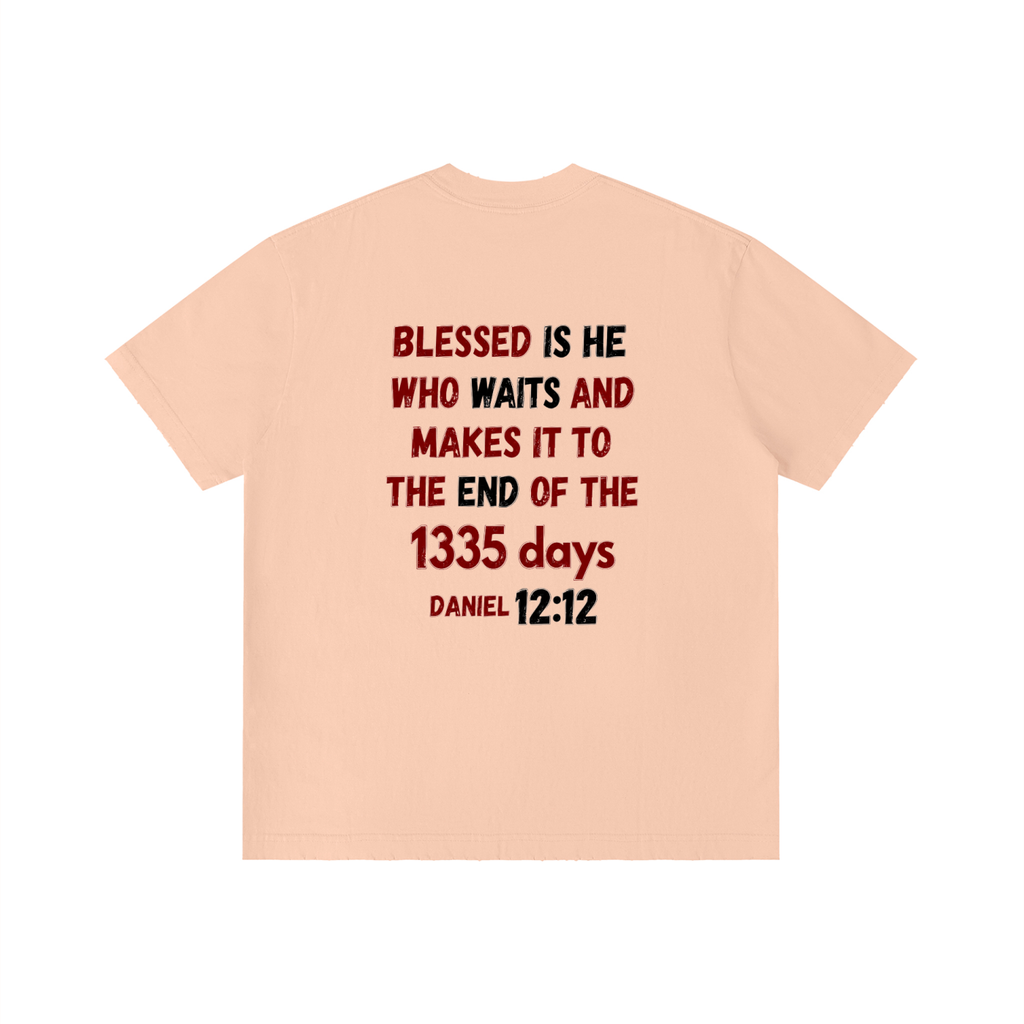 unisex,bible,verse,spiritual,warfare,declaration,deliverance,armor,God,kingdom,warrior,scripture,tshirt,cotton,Christian,streetwear