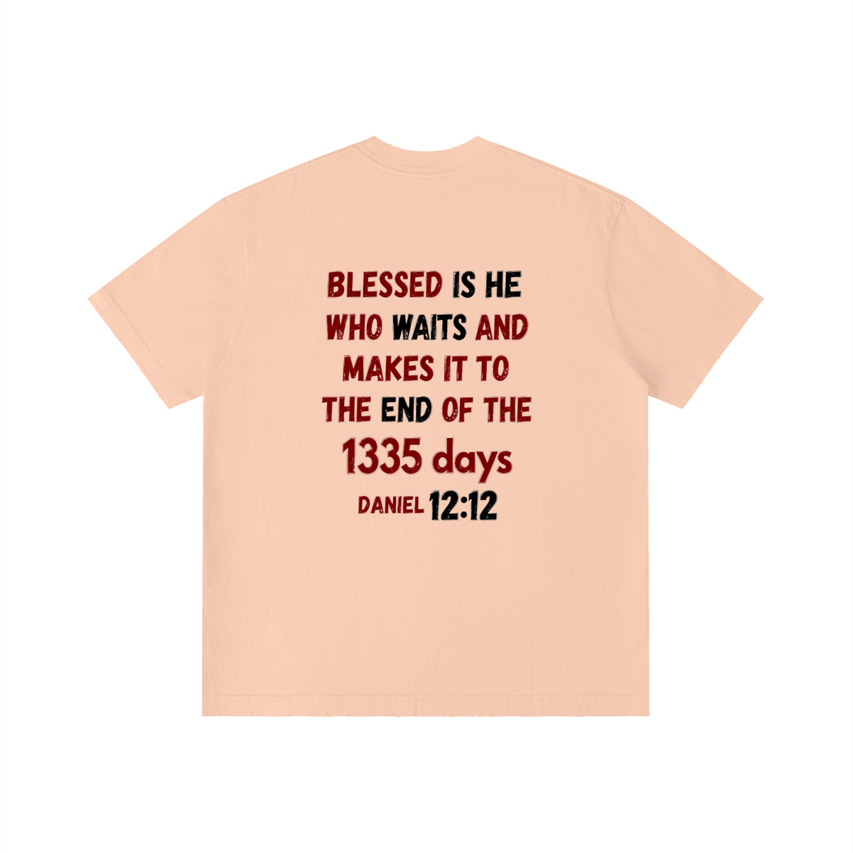 unisex,bible,verse,spiritual,warfare,declaration,deliverance,armor,God,kingdom,warrior,scripture,tshirt,cotton,Christian,streetwear