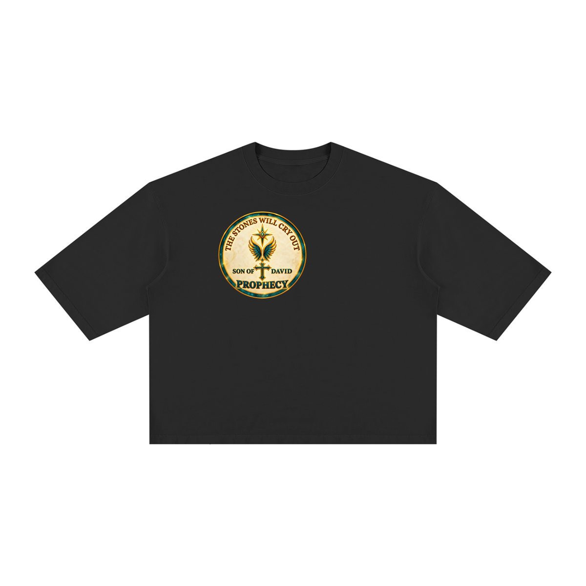 tshirt,tee,prophesy,prophetic,bible,verse,boxy,loose,simple,Christian,declaration,David,prophet