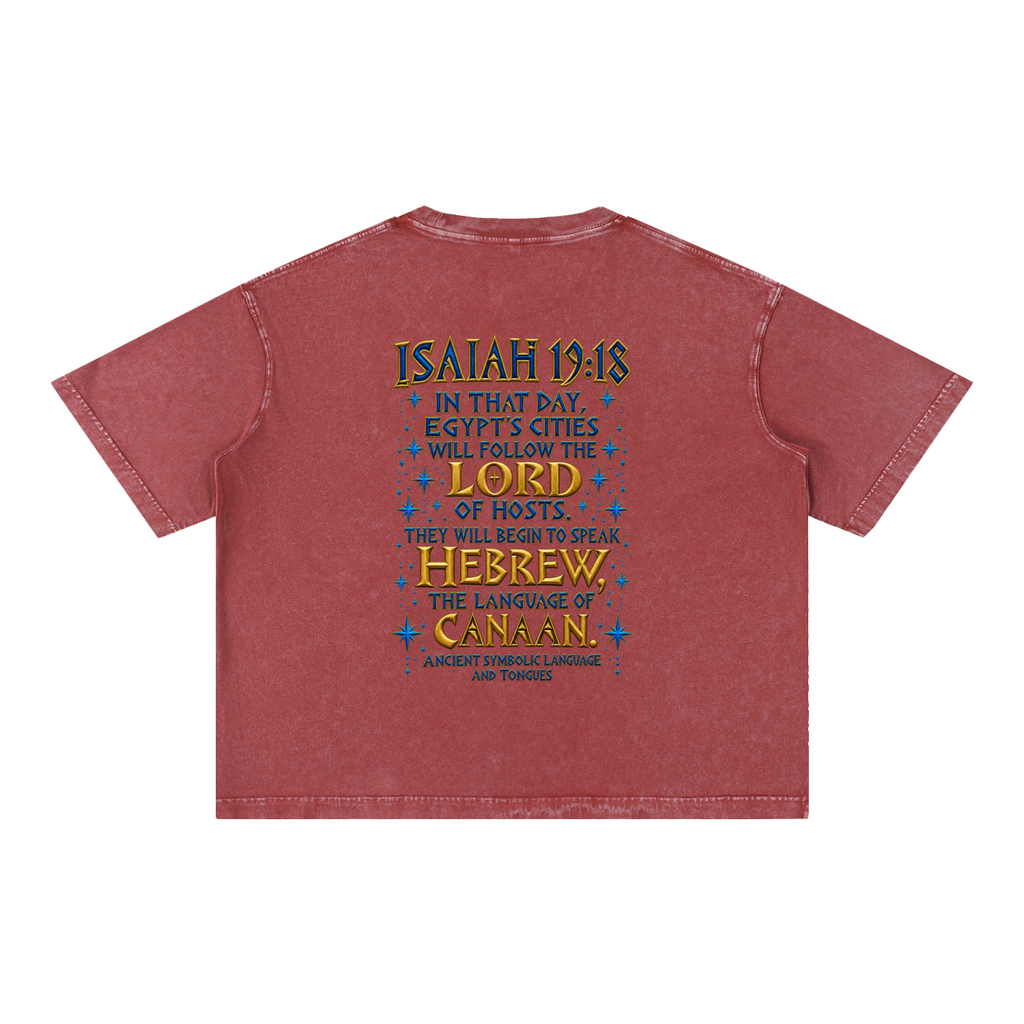 bible,verse,tshirt,tee,loose,inspiration,spiritual,warfare,prophetic,prophesy