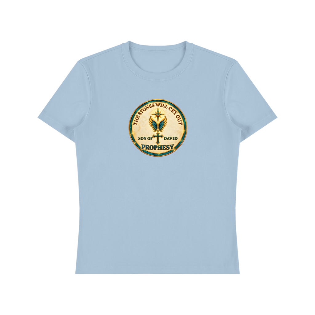 G-d's Temple; Bible Depiction; Unisex Heavyweight Cotton T-Shirt