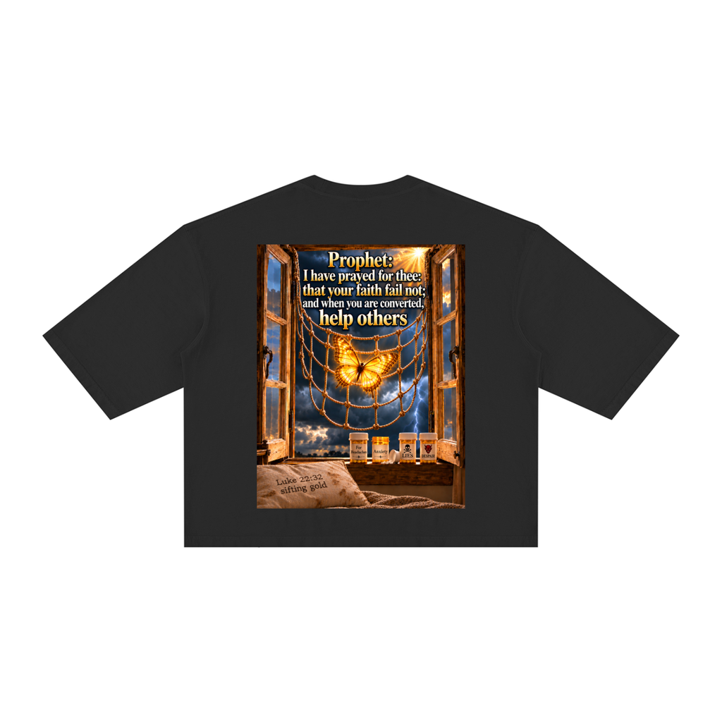 tshirt,tee,prophesy,prophetic,bible,verse,boxy,loose,simple,Christian,declaration,David,prophet