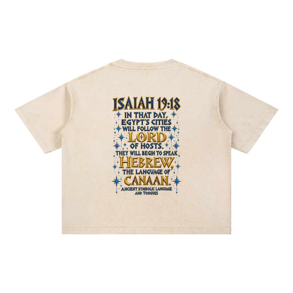bible,verse,tshirt,tee,loose,inspiration,spiritual,warfare,prophetic,prophesy